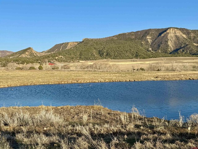 TBD Road G.6, Mancos, CO 81328
