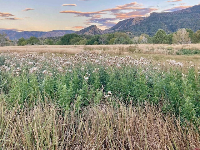 TBD Road G.6, Mancos, CO 81328