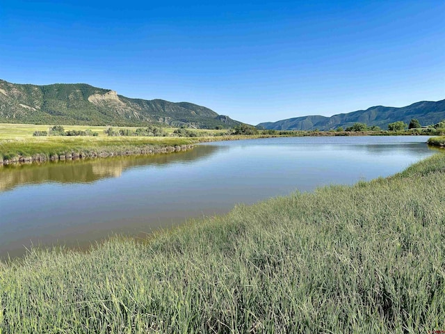 TBD Road G.6, Mancos, CO 81328