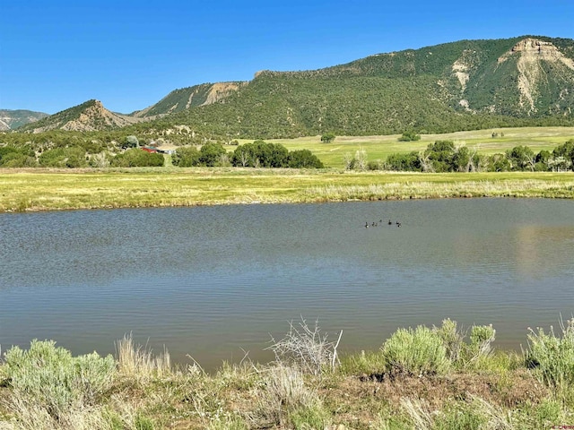TBD Road G.6, Mancos, CO 81328