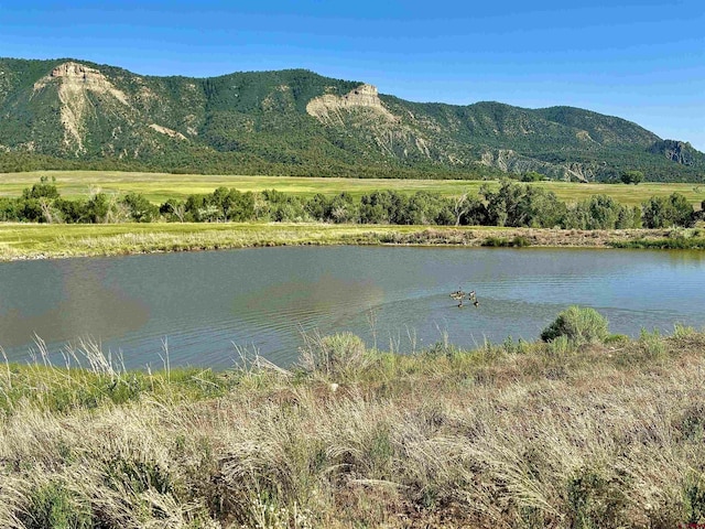 TBD Road G.6, Mancos, CO 81328