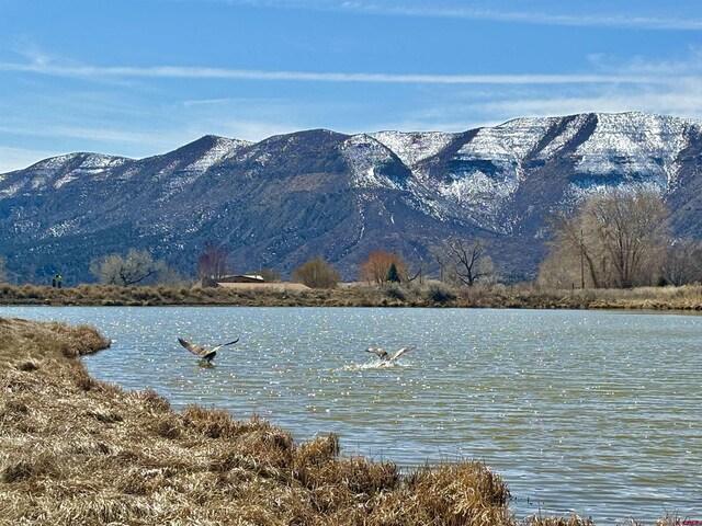 TBD Road G.6, Mancos, CO 81328