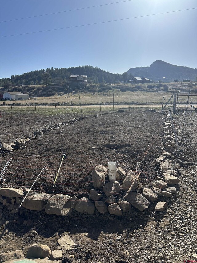 465 Indian Land Rd, Pagosa Springs, CO 81147