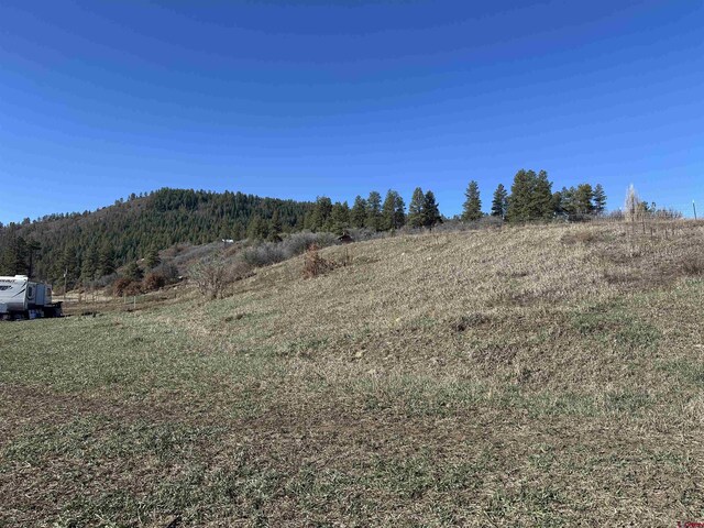 465 Indian Land Rd, Pagosa Springs, CO 81147