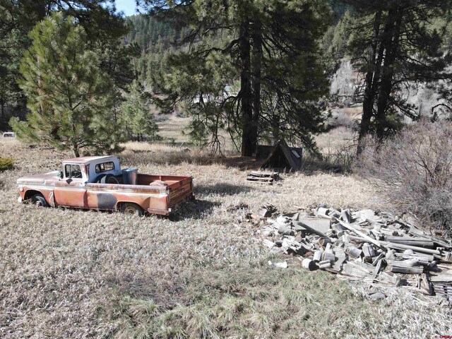 TBD Bear Creek Rd, Bayfield, CO 81122