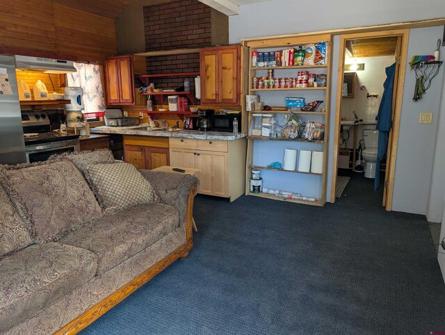 407 Simmons Dr, Pagosa Springs, CO 81147 - interior space with light countertops, open shelves, under cabinet range hood, dark carpet, and a sink