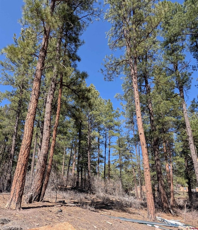 407 Simmons Dr, Pagosa Springs, CO 81147 - view of nature