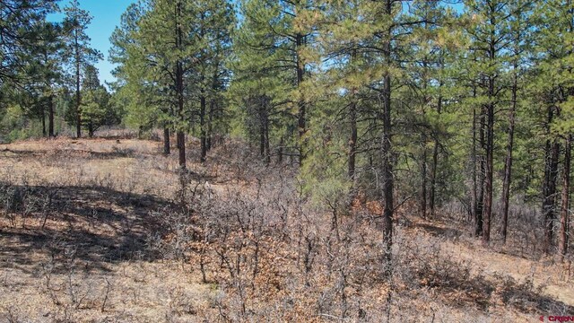 154 Engineer Pt, Pagosa Springs, CO 81147