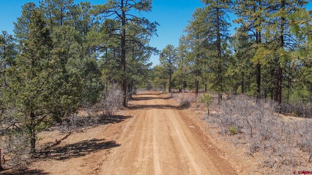 154 Engineer Pt, Pagosa Springs, CO 81147