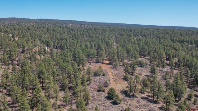 154 Engineer Pt, Pagosa Springs, CO 81147