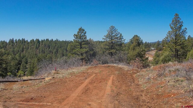 154 Engineer Pt, Pagosa Springs, CO 81147