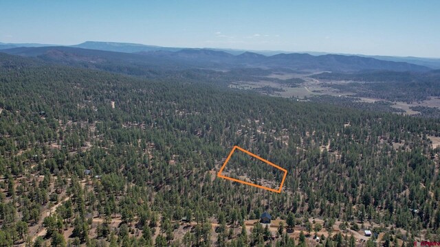 154 Engineer Pt, Pagosa Springs, CO 81147