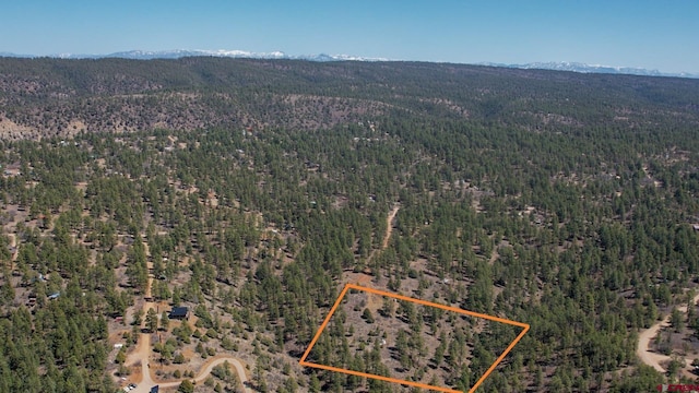 154 Engineer Pt, Pagosa Springs, CO 81147