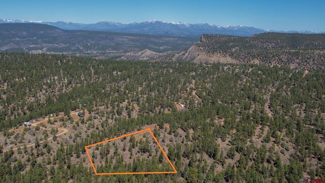 154 Engineer Pt, Pagosa Springs, CO 81147