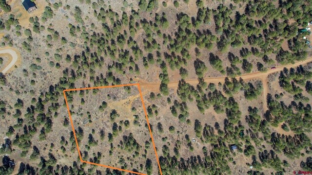154 Engineer Pt, Pagosa Springs, CO 81147
