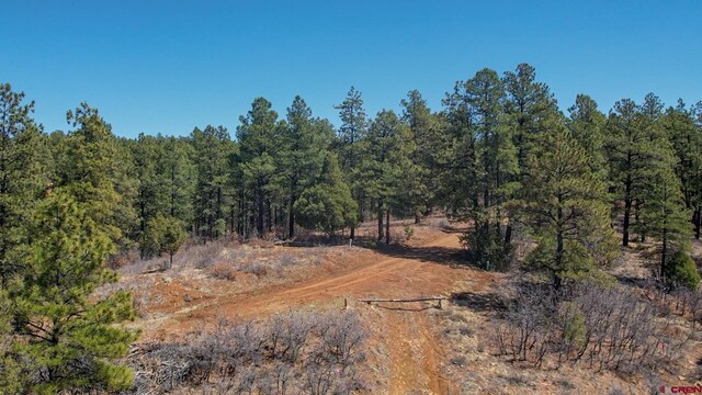 154 Engineer Pt, Pagosa Springs, CO 81147