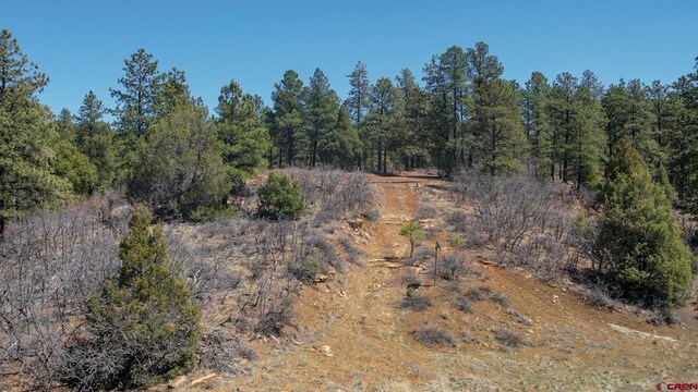 154 Engineer Pt, Pagosa Springs, CO 81147