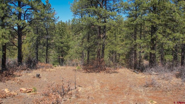 154 Engineer Pt, Pagosa Springs, CO 81147