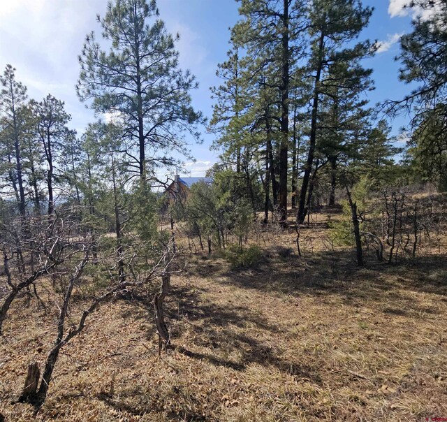220 Rock Point Pl, Pagosa Springs, CO 81147