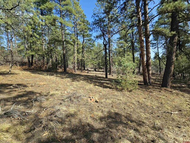 220 Rock Point Pl, Pagosa Springs, CO 81147