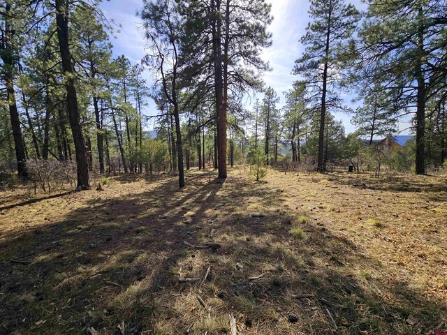 220 Rock Point Pl, Pagosa Springs, CO 81147