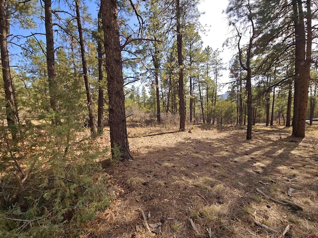 220 Rock Point Pl, Pagosa Springs, CO 81147