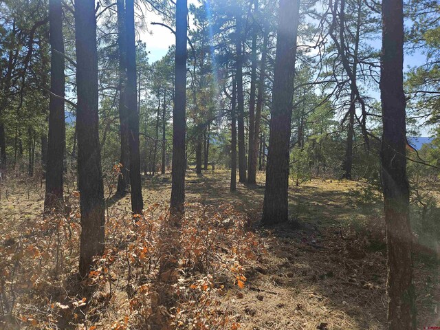 220 Rock Point Pl, Pagosa Springs, CO 81147