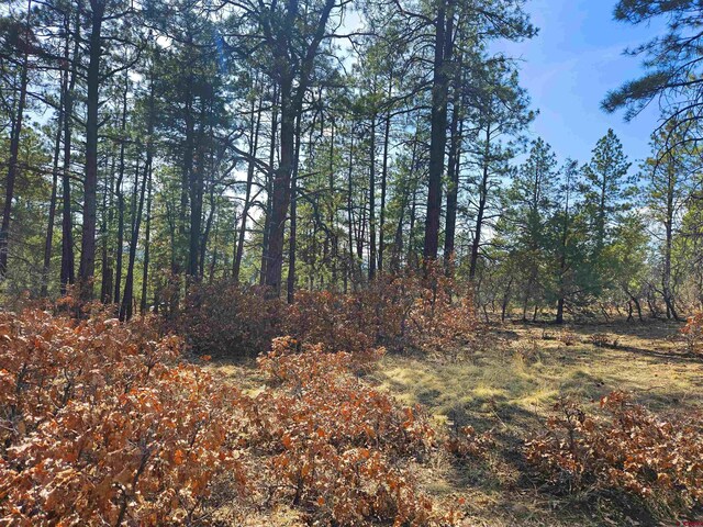 220 Rock Point Pl, Pagosa Springs, CO 81147