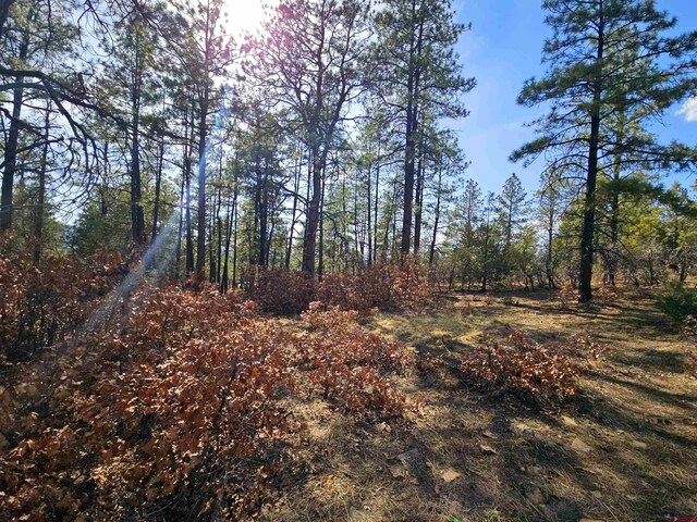 220 Rock Point Pl, Pagosa Springs, CO 81147