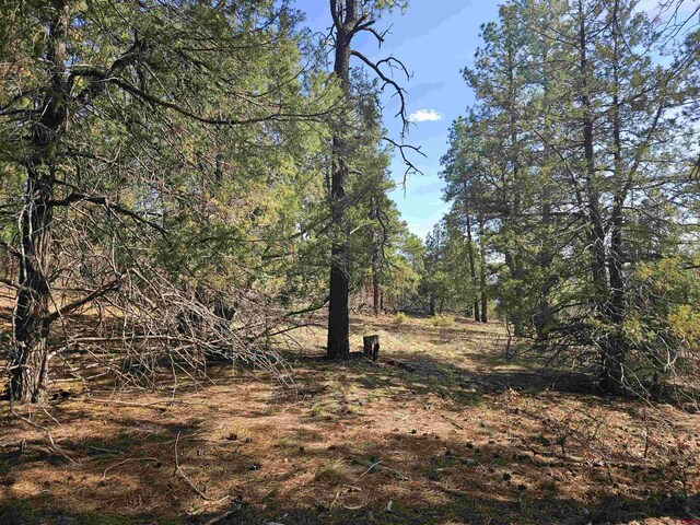 220 Rock Point Pl, Pagosa Springs, CO 81147