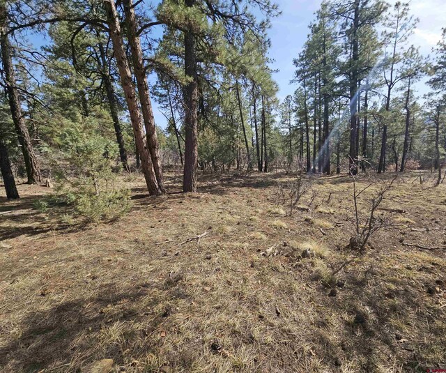 220 Rock Point Pl, Pagosa Springs, CO 81147