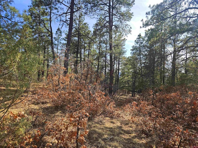 220 Rock Point Pl, Pagosa Springs, CO 81147