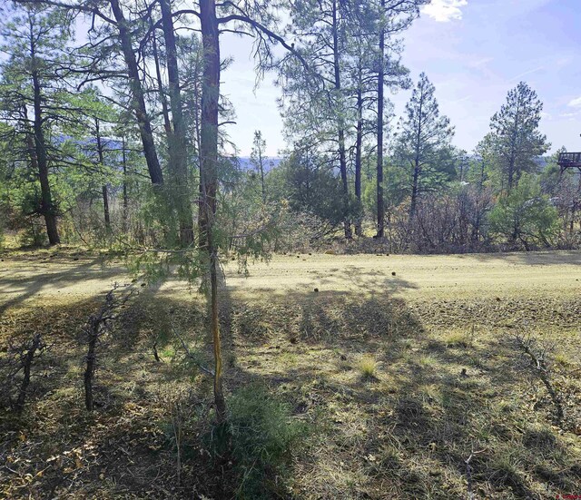 220 Rock Point Pl, Pagosa Springs, CO 81147