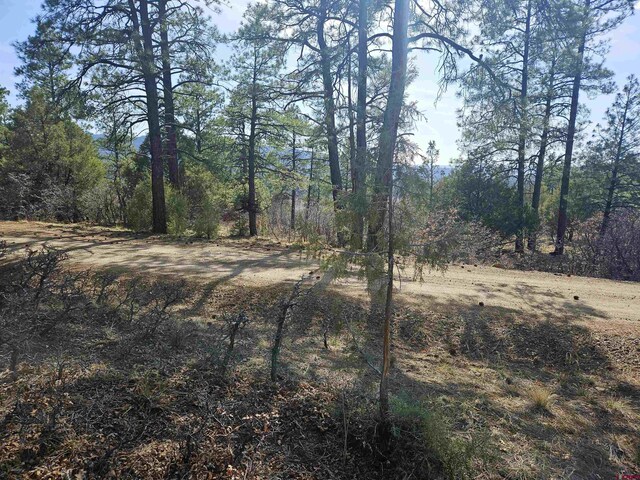 220 Rock Point Pl, Pagosa Springs, CO 81147