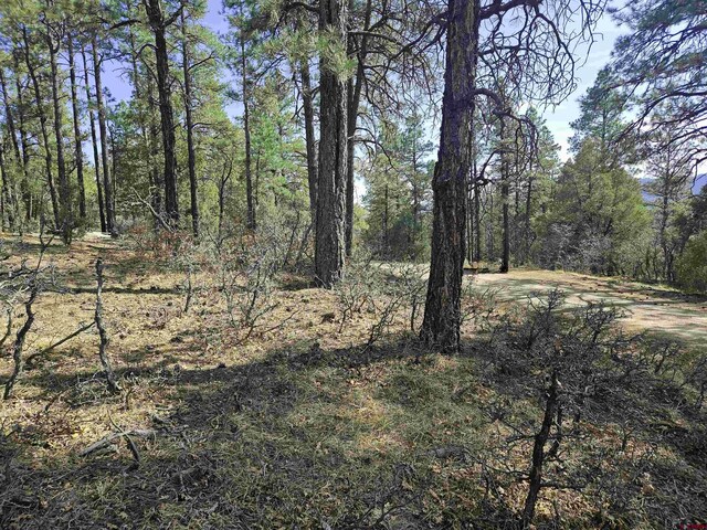 220 Rock Point Pl, Pagosa Springs, CO 81147