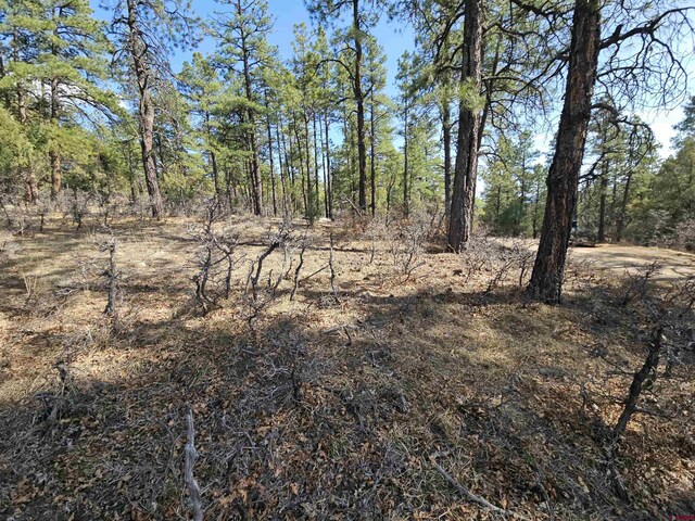220 Rock Point Pl, Pagosa Springs, CO 81147