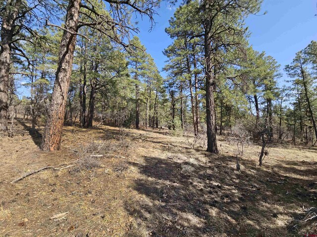 220 Rock Point Pl, Pagosa Springs, CO 81147