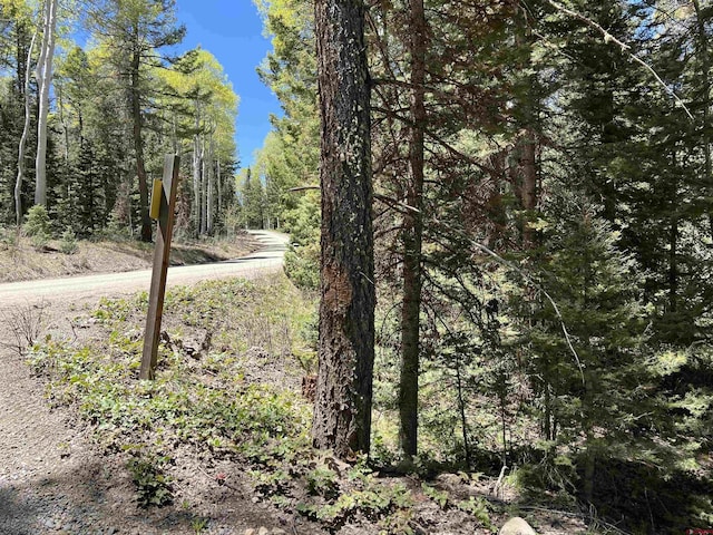 423 Rim Rd, Cimarron, CO 81220