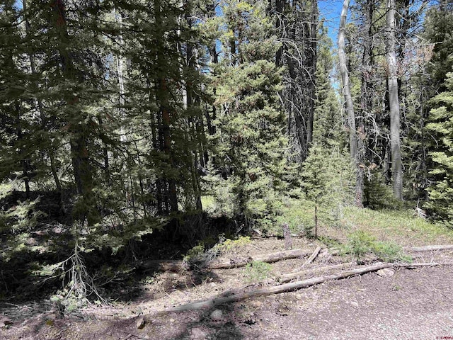 423 Rim Rd, Cimarron, CO 81220