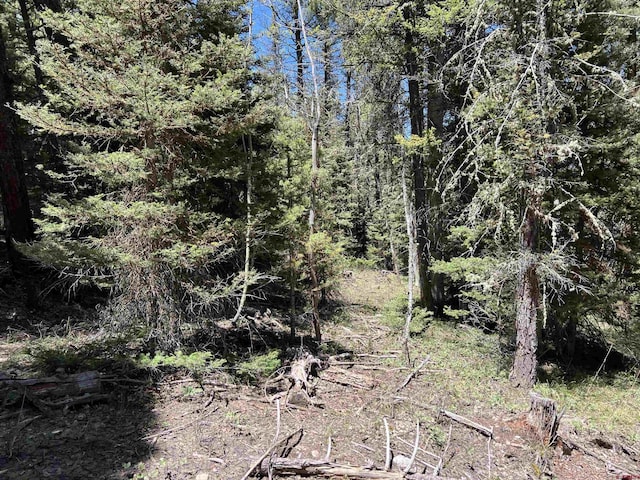 423 Rim Rd, Cimarron, CO 81220