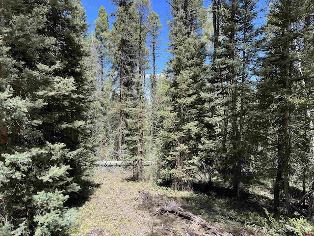 423 Rim Rd, Cimarron, CO 81220