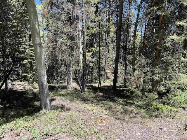 423 Rim Rd, Cimarron, CO 81220