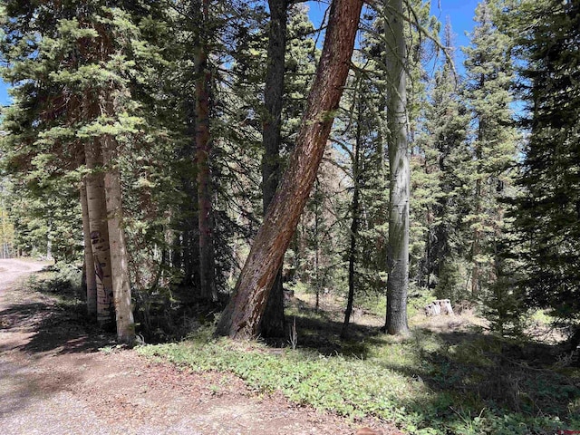 423 Rim Rd, Cimarron, CO 81220