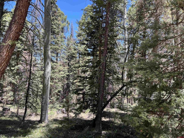 423 Rim Rd, Cimarron, CO 81220