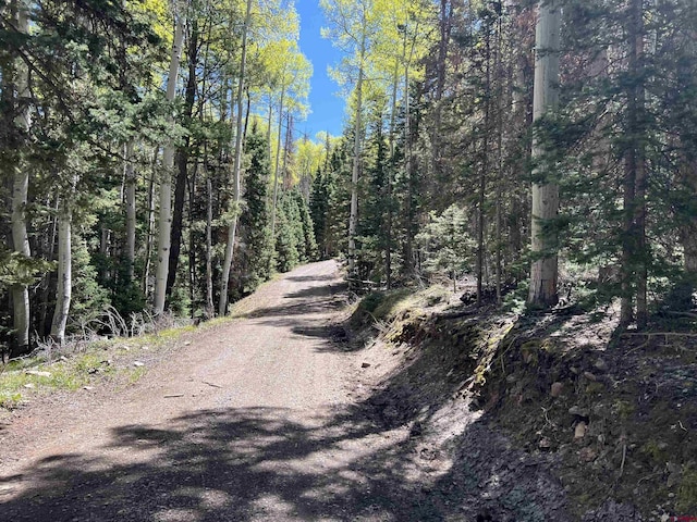 423 Rim Rd, Cimarron, CO 81220