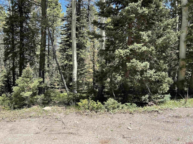 423 Rim Rd, Cimarron, CO 81220