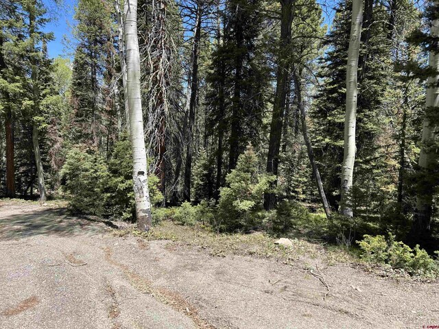 423 Rim Rd, Cimarron, CO 81220