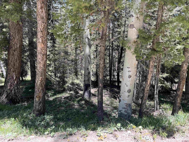 423 Rim Rd, Cimarron, CO 81220