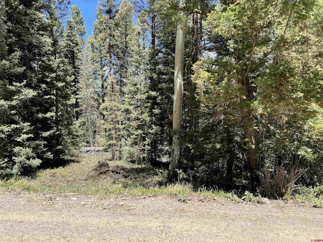 423 Rim Rd, Cimarron, CO 81220