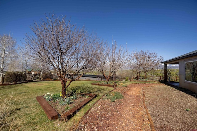 37835 Fruitland Mesa Dr, Crawford, CO 81415 - view of yard featuring fence and a vegetable garden